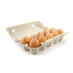 Eggs Tray