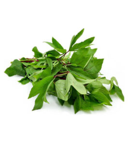 Gongura Leaf