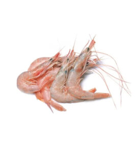 Prawn Fish